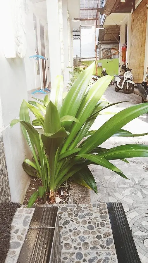 Bali Dd Homestay Seminyak Maison d'hôtes